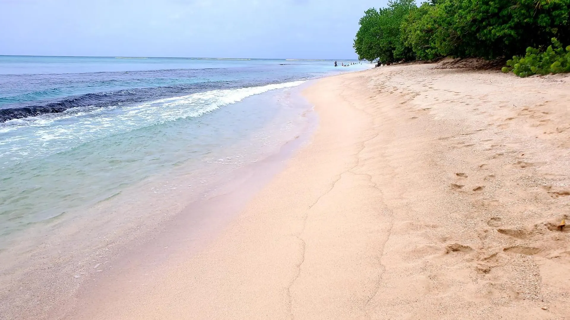 Villa L'Anjou Creole A Sainte Anne En Guadeloupe Avec Piscine Privee Et 3 Chambres Pour 6 Personnes