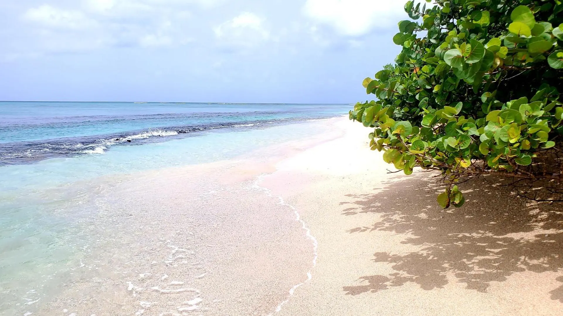Villa L'Anjou Creole A Sainte Anne En Guadeloupe Avec Piscine Privee Et 3 Chambres Pour 6 Personnes Holiday home
