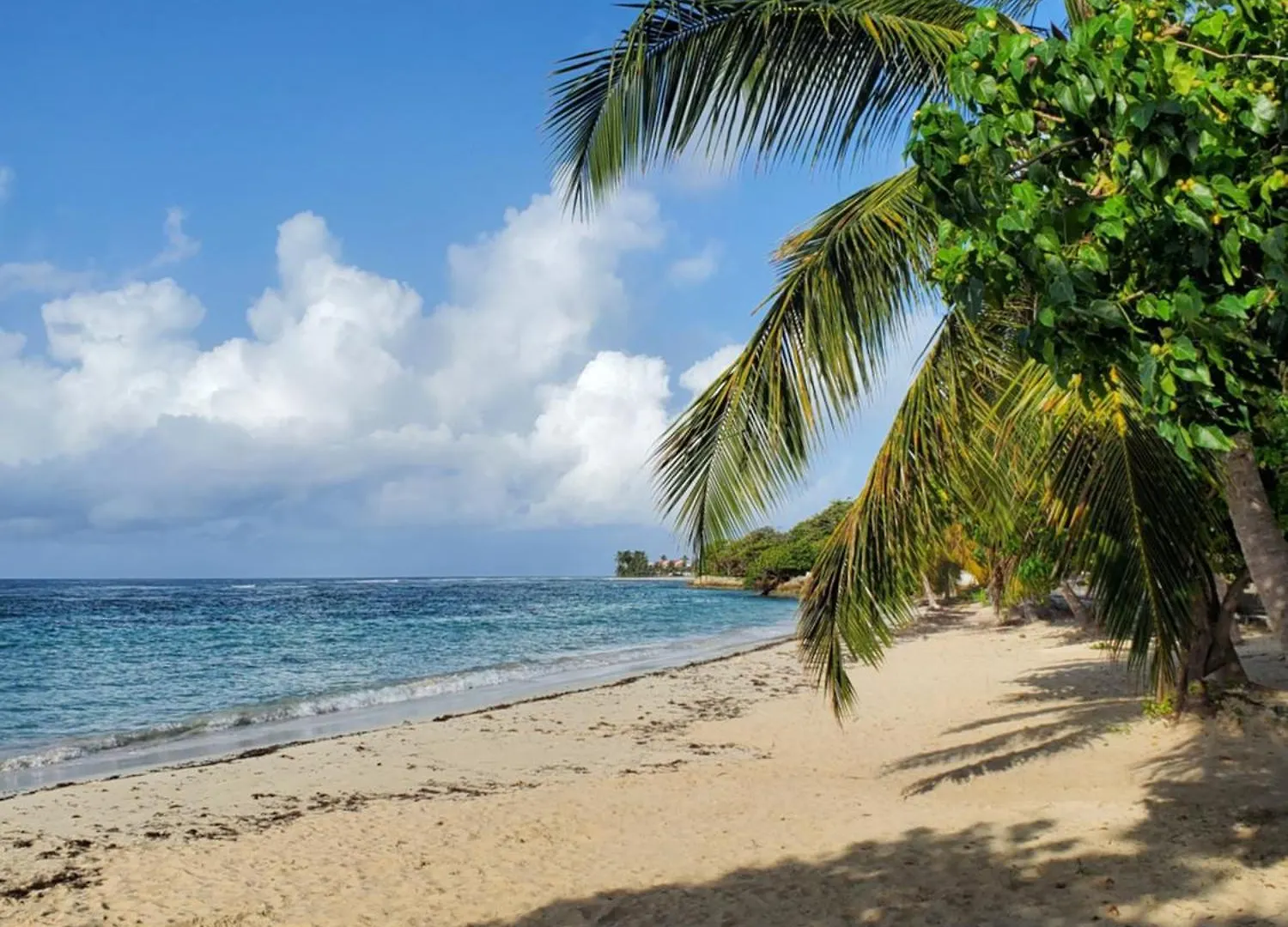 Villa L'Anjou Creole A Sainte Anne En Guadeloupe Avec Piscine Privee Et 3 Chambres Pour 6 Personnes