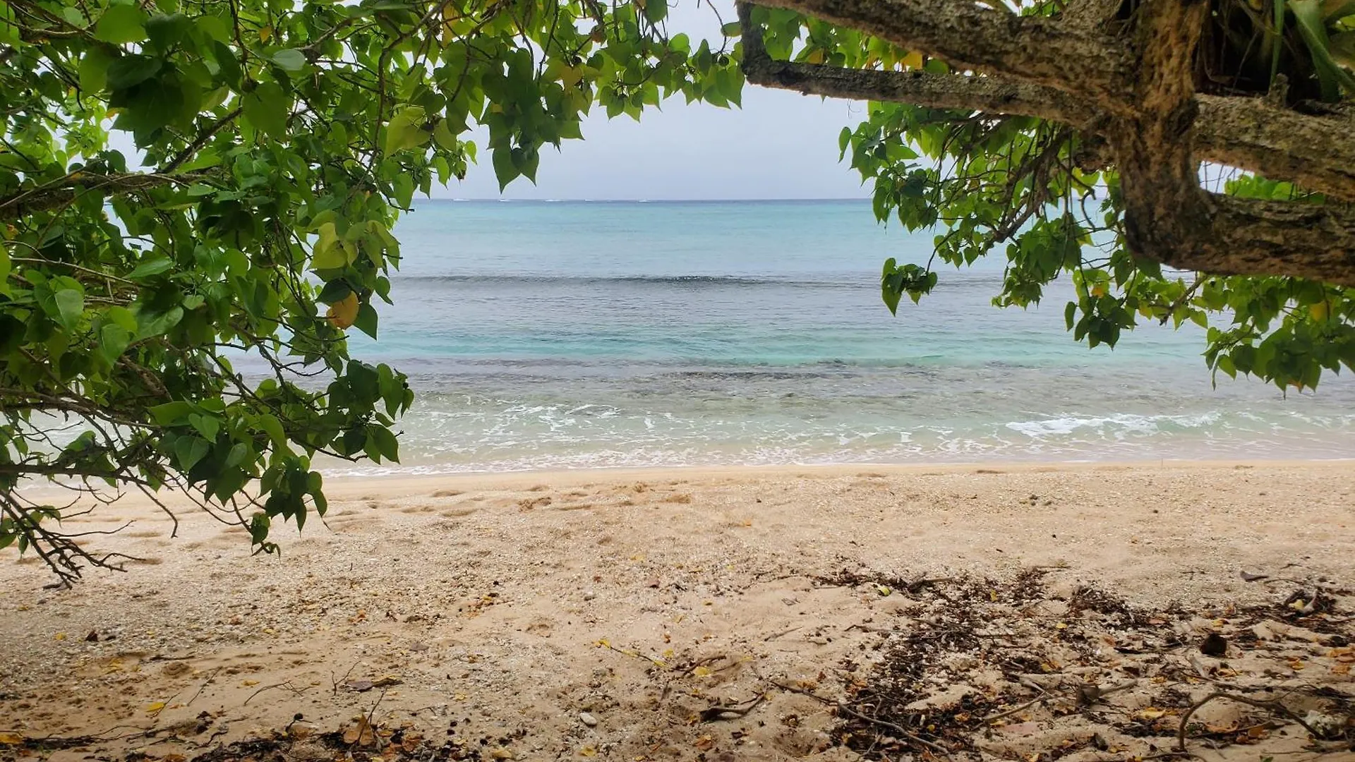 Villa L'Anjou Creole A Sainte Anne En Guadeloupe Avec Piscine Privee Et 3 Chambres Pour 6 Personnes Guadeloupe