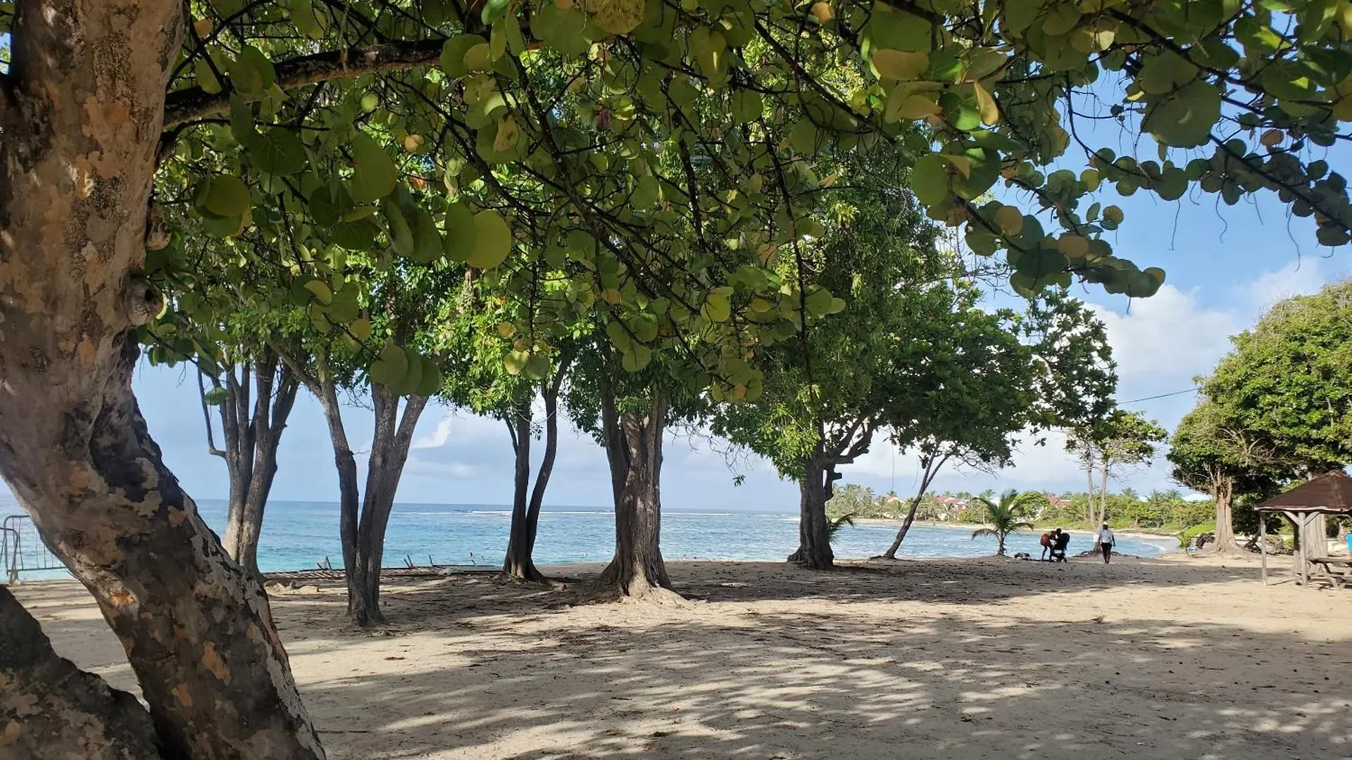 Villa L'Anjou Creole A Sainte Anne En Guadeloupe Avec Piscine Privee Et 3 Chambres Pour 6 Personnes Holiday home