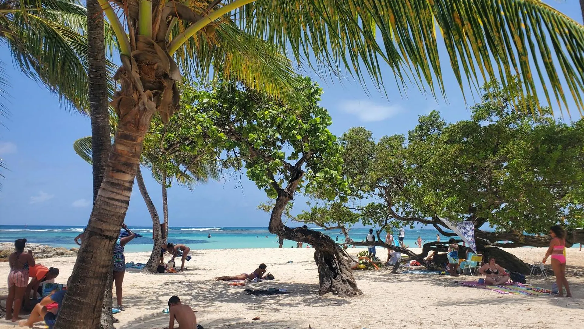Villa L'Anjou Creole A Sainte Anne En Guadeloupe Avec Piscine Privee Et 3 Chambres Pour 6 Personnes 0*, Sainte-Anne (Grande-Terre) Guadeloupe