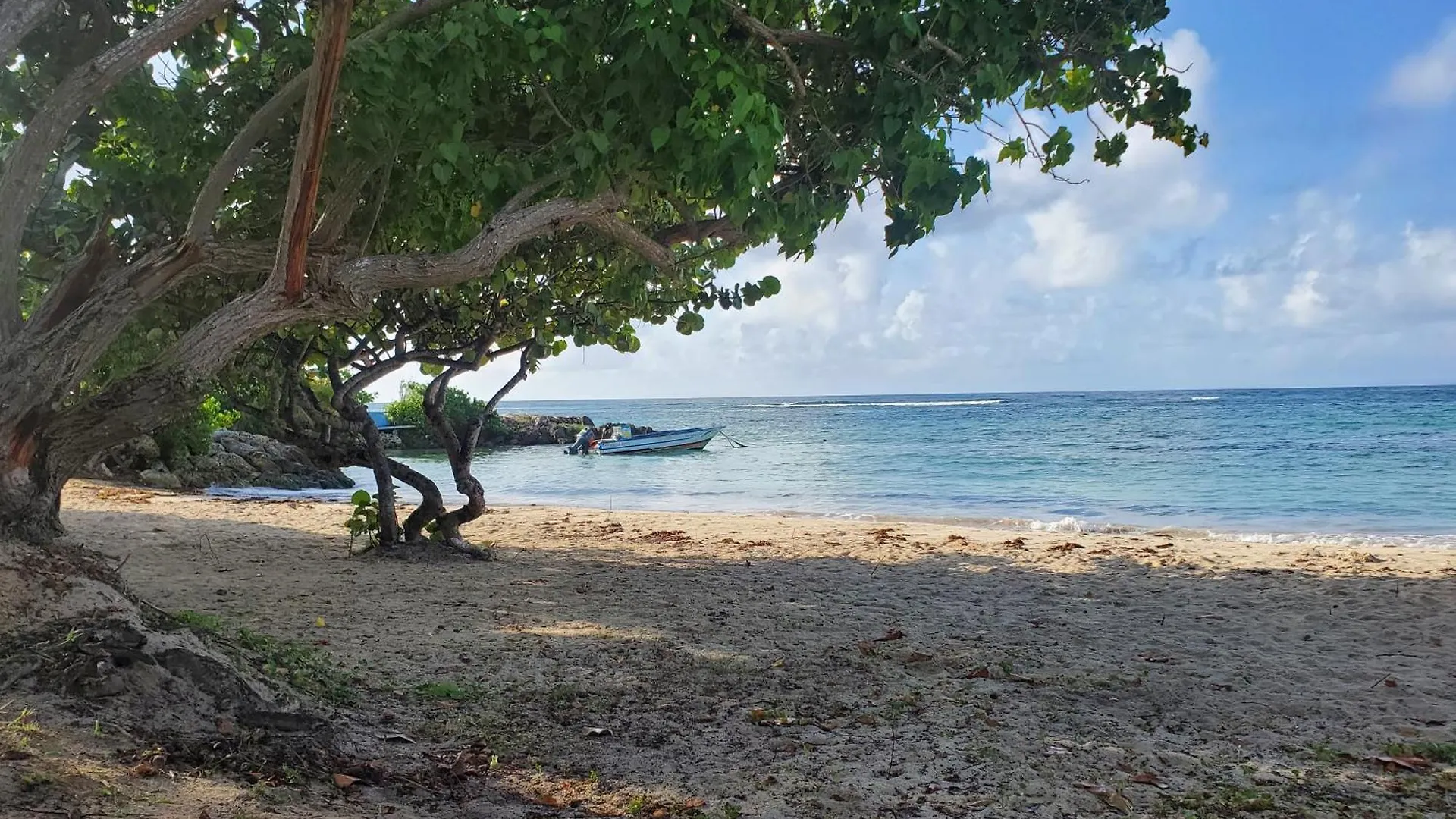 Villa L'Anjou Creole A Sainte Anne En Guadeloupe Avec Piscine Privee Et 3 Chambres Pour 6 Personnes Holiday home Sainte-Anne (Grande-Terre)