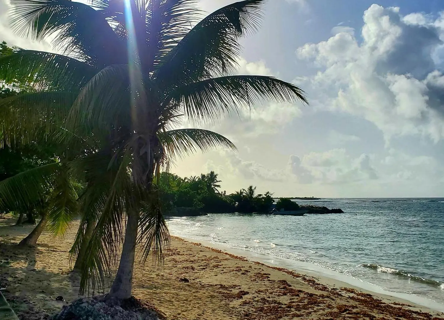 Villa L'Anjou Creole A Sainte Anne En Guadeloupe Avec Piscine Privee Et 3 Chambres Pour 6 Personnes Guadeloupe