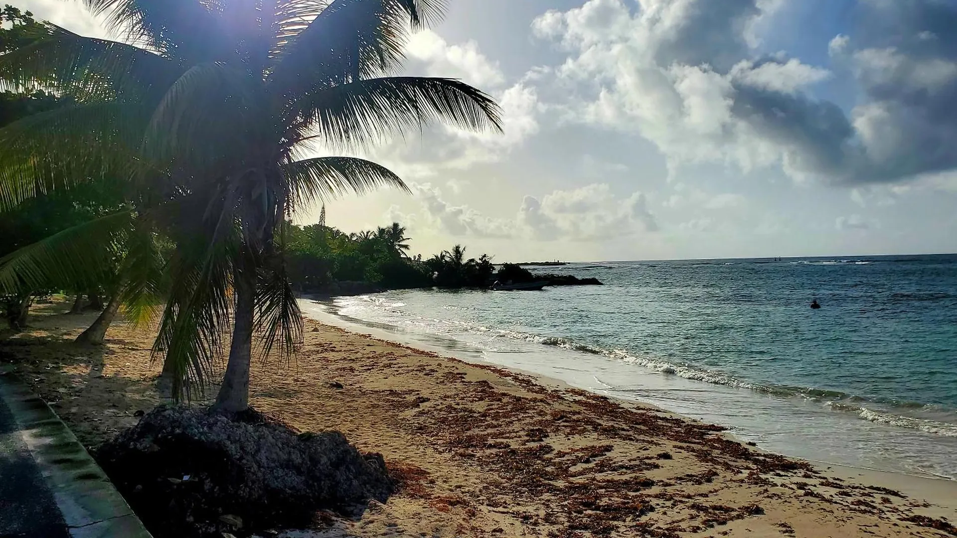 Holiday home Villa L'Anjou Creole A Sainte Anne En Guadeloupe Avec Piscine Privee Et 3 Chambres Pour 6 Personnes Guadeloupe