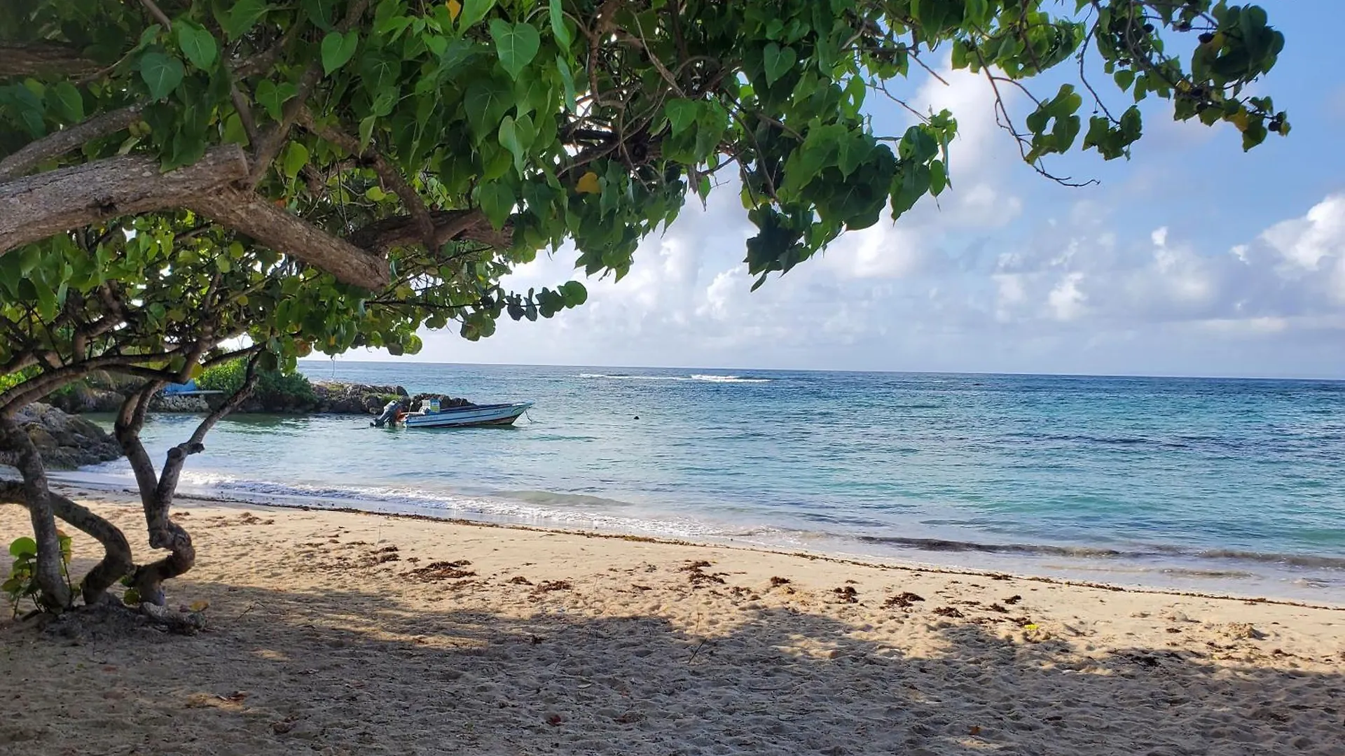 Villa L'Anjou Creole A Sainte Anne En Guadeloupe Avec Piscine Privee Et 3 Chambres Pour 6 Personnes