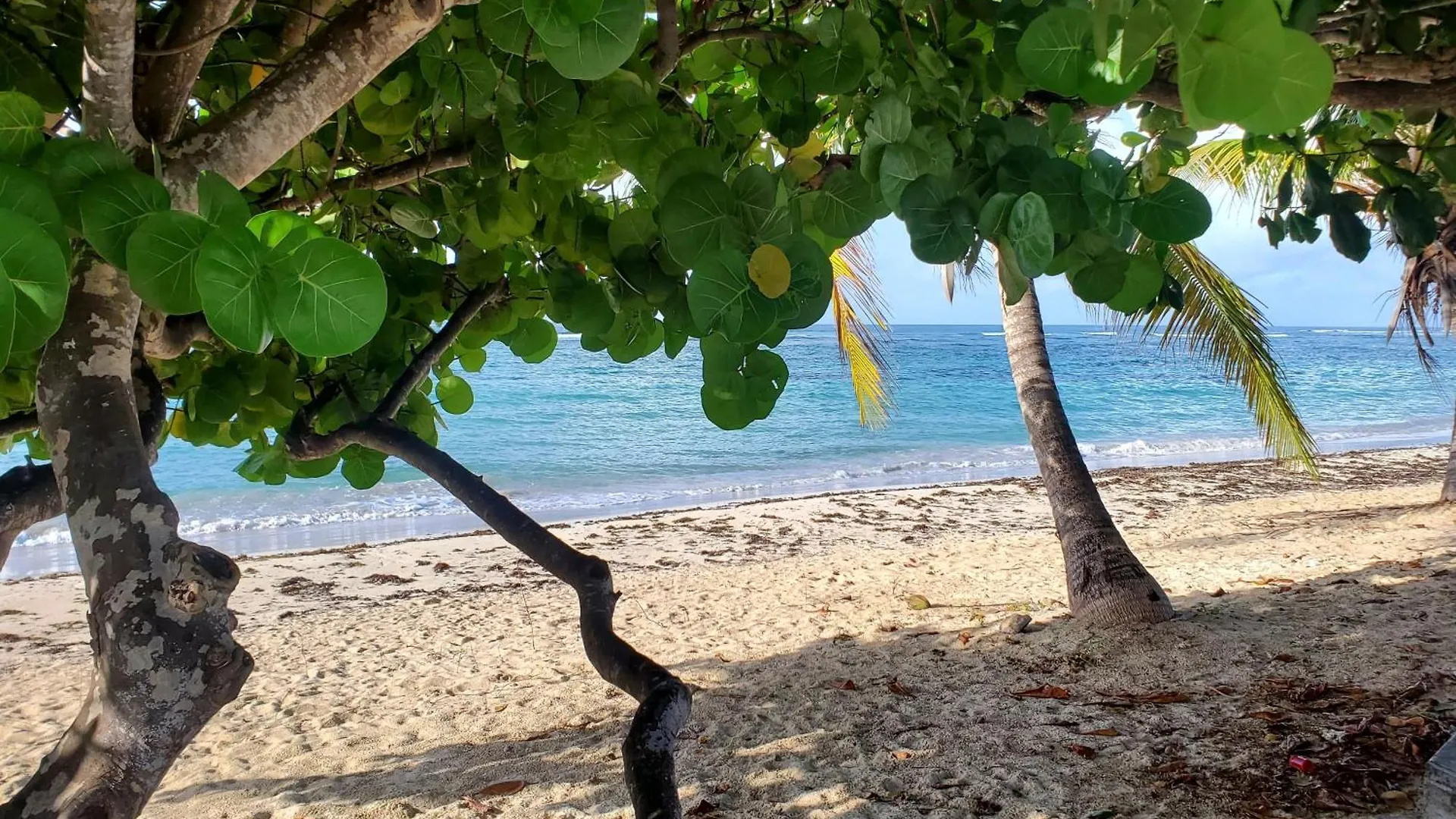Villa L'Anjou Creole A Sainte Anne En Guadeloupe Avec Piscine Privee Et 3 Chambres Pour 6 Personnes Guadeloupe